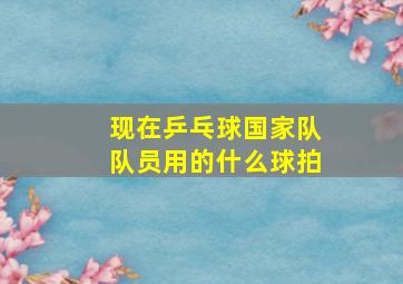 现在乒乓球国家队队员用的什么球拍