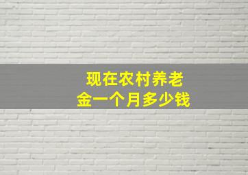 现在农村养老金一个月多少钱