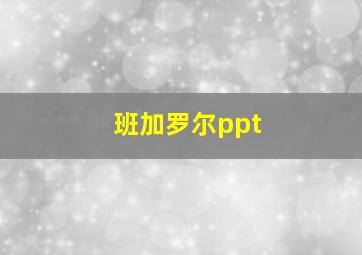 班加罗尔ppt