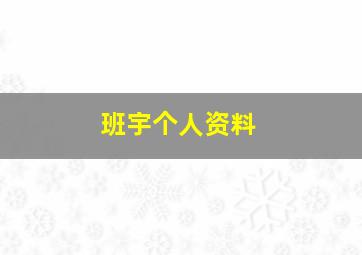 班宇个人资料