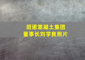 班诺混凝土集团董事长刘学良照片