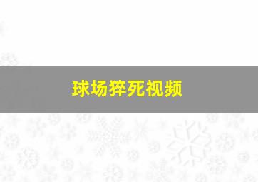 球场猝死视频