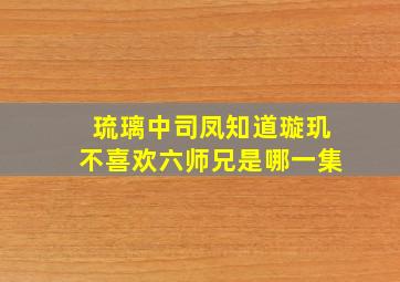 琉璃中司凤知道璇玑不喜欢六师兄是哪一集