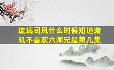 琉璃司凤什么时候知道璇玑不喜欢六师兄是第几集