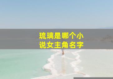 琉璃是哪个小说女主角名字