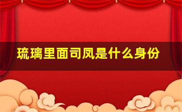 琉璃里面司凤是什么身份