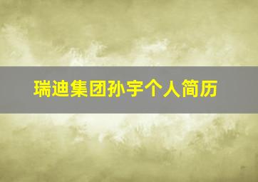 瑞迪集团孙宇个人简历