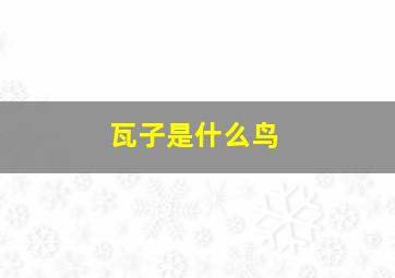 瓦子是什么鸟