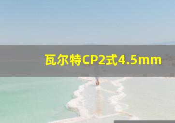 瓦尔特CP2式4.5mm