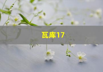 瓦库17