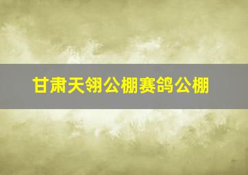 甘肃天翎公棚赛鸽公棚