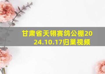 甘肃省天翎赛鸽公棚2024.10.17归巢视频