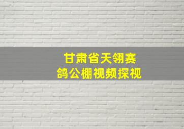 甘肃省天翎赛鸽公棚视频探视