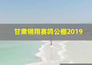 甘肃翎翔赛鸽公棚2019