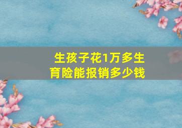 生孩子花1万多生育险能报销多少钱