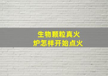 生物颗粒真火炉怎样开始点火