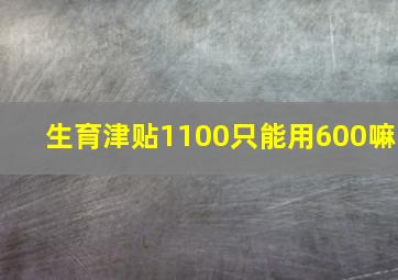 生育津贴1100只能用600嘛