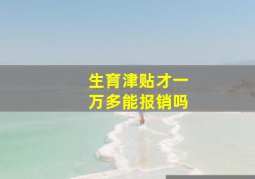 生育津贴才一万多能报销吗