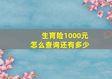 生育险1000元怎么查询还有多少