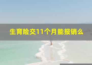 生育险交11个月能报销么