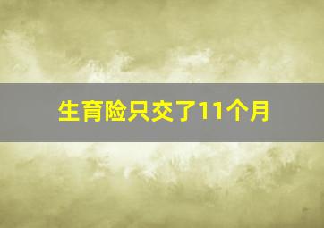 生育险只交了11个月