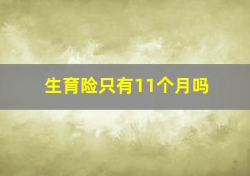 生育险只有11个月吗