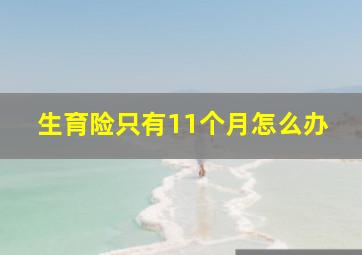 生育险只有11个月怎么办