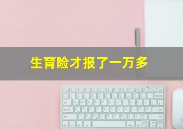 生育险才报了一万多