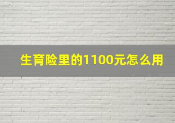 生育险里的1100元怎么用