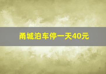 甬城泊车停一天40元