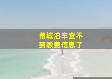 甬城泊车查不到缴费信息了