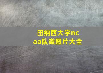 田纳西大学ncaa队徽图片大全