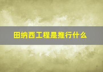 田纳西工程是推行什么