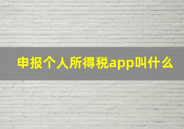 申报个人所得税app叫什么