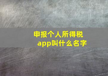 申报个人所得税app叫什么名字