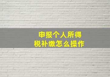 申报个人所得税补缴怎么操作