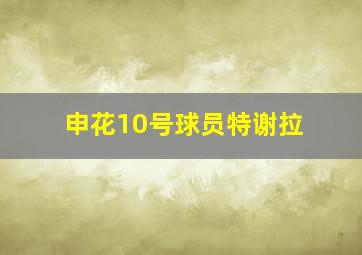 申花10号球员特谢拉