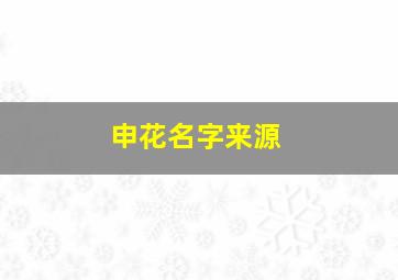 申花名字来源