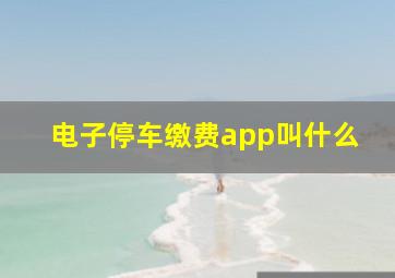 电子停车缴费app叫什么