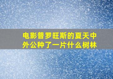 电影普罗旺斯的夏天中外公种了一片什么树林