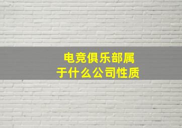 电竞俱乐部属于什么公司性质