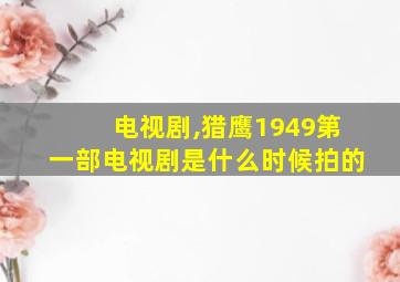 电视剧,猎鹰1949第一部电视剧是什么时候拍的