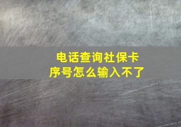 电话查询社保卡序号怎么输入不了