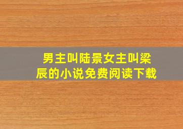 男主叫陆景女主叫梁辰的小说免费阅读下载