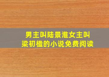 男主叫陆景淮女主叫梁初楹的小说免费阅读