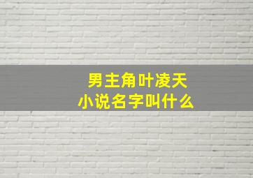 男主角叶凌天小说名字叫什么