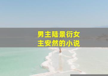 男主陆景衍女主安然的小说