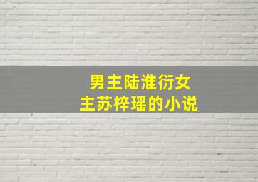 男主陆淮衍女主苏梓瑶的小说