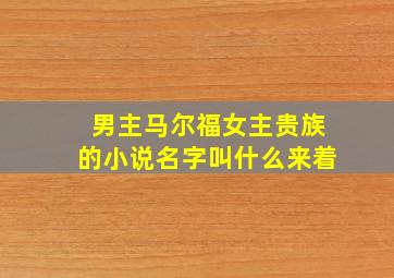 男主马尔福女主贵族的小说名字叫什么来着