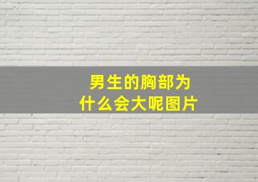 男生的胸部为什么会大呢图片